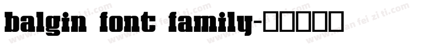 balgin font family字体转换